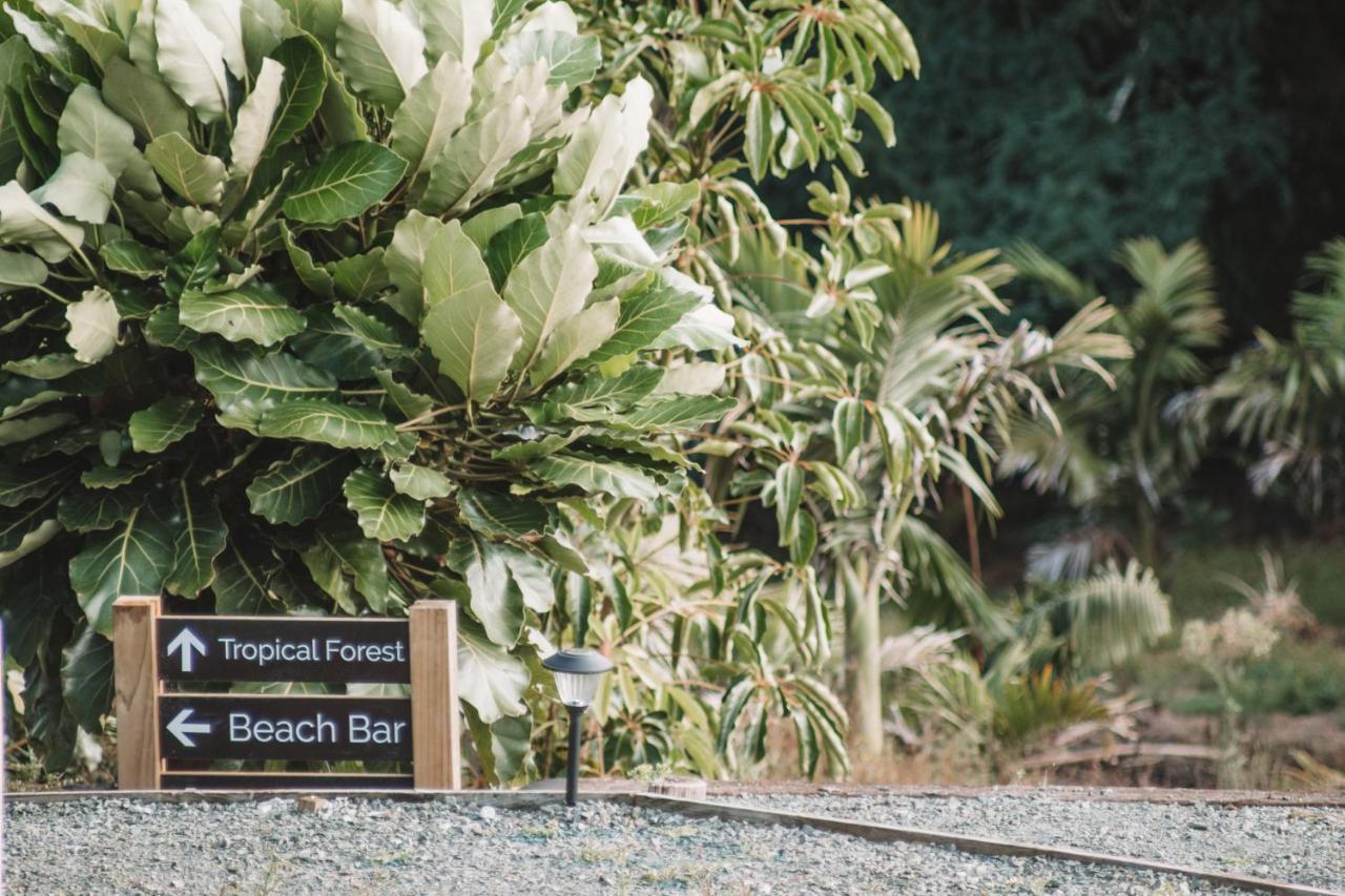Aotearoa Surf Eco Pods Hotel Te Arai Ngoại thất bức ảnh